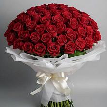 Букет 101 Красная роза Блэк Мэджик в Нерль