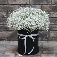 Цветочная композиция из Гипсофила в шляпной коробке #REPLACE_PRED# Нерль